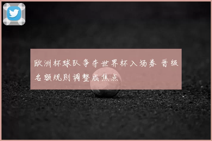 欧洲杯球队争夺世界杯入场券 晋级名额规则调整成焦点