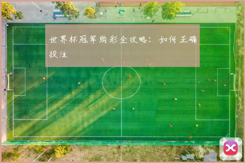 世界杯冠军购彩全攻略:如何正确投注